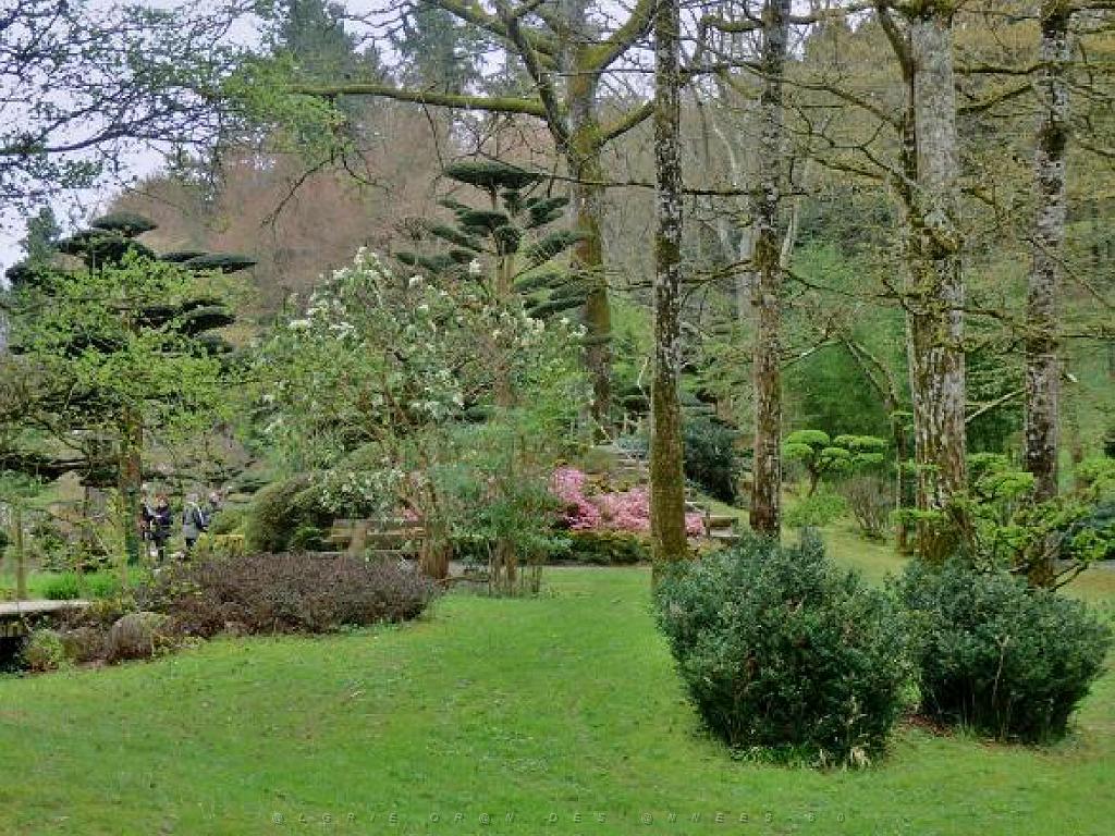 149 PARC ORIENTAL DE MAULEVIER MAINE ET LOIRE 2016 N2_000018.jpg
